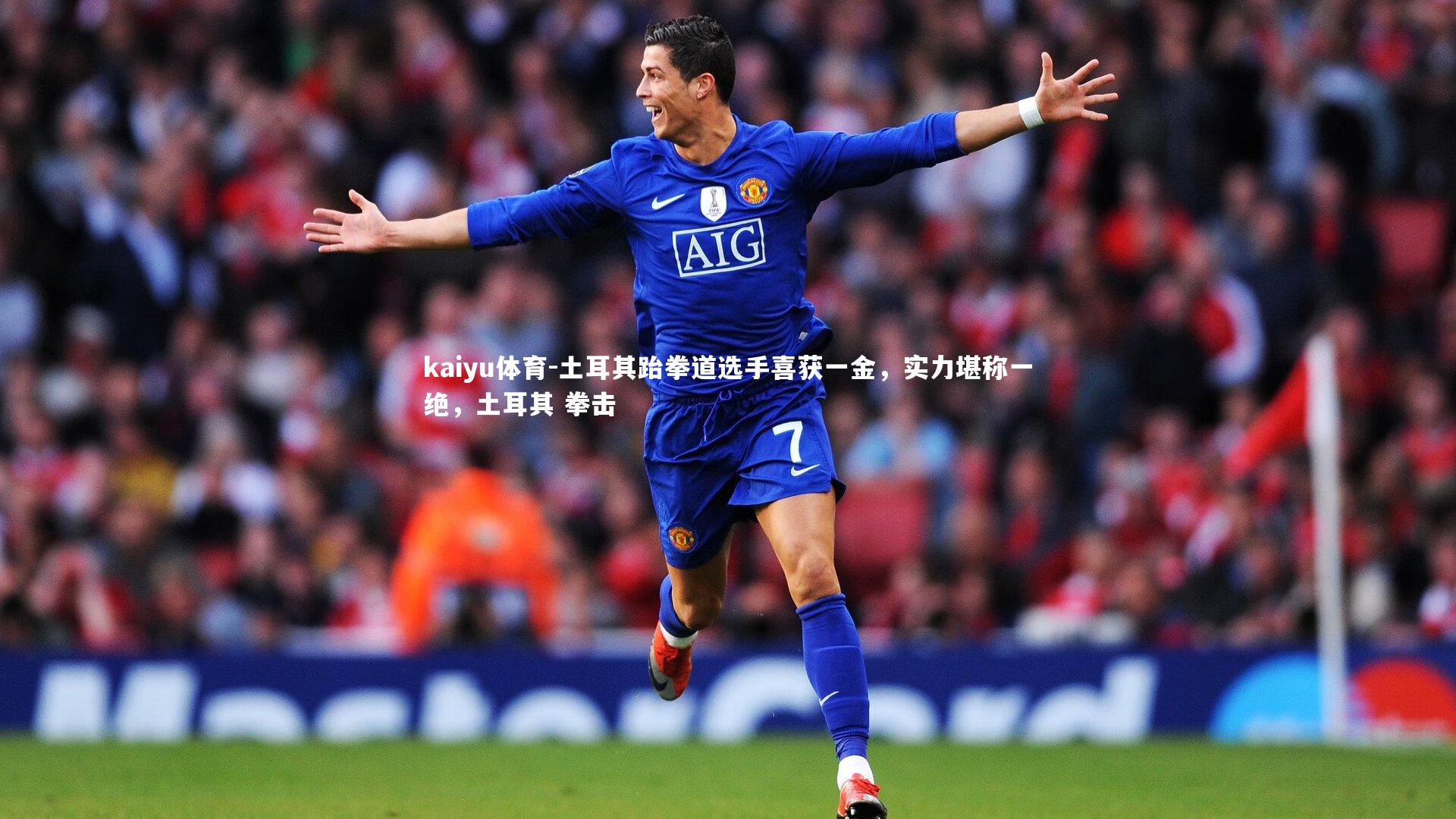 土耳其跆拳道选手喜获一金，实力堪称一绝，土耳其 拳击