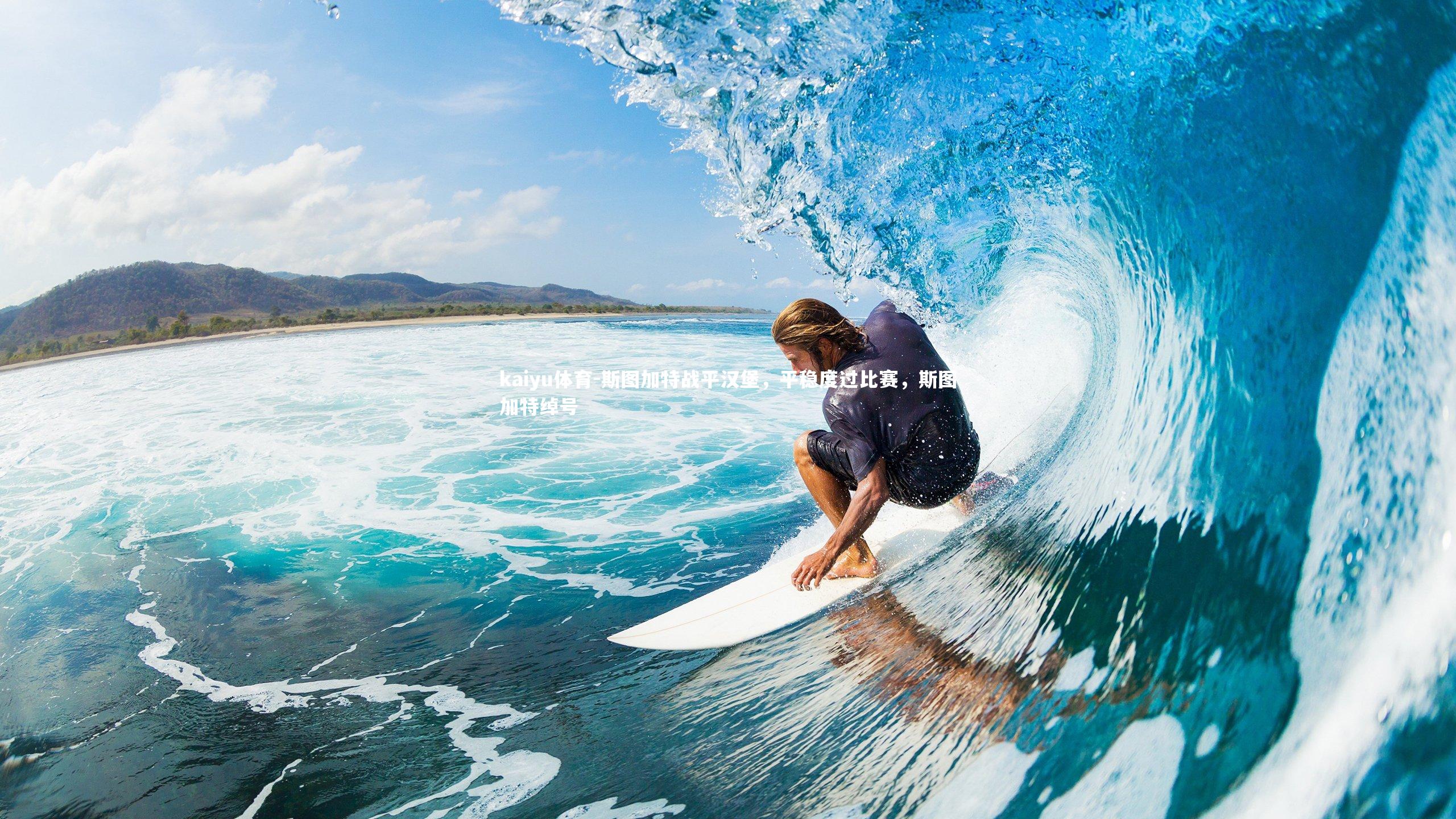 斯图加特战平汉堡，平稳度过比赛，斯图加特绰号