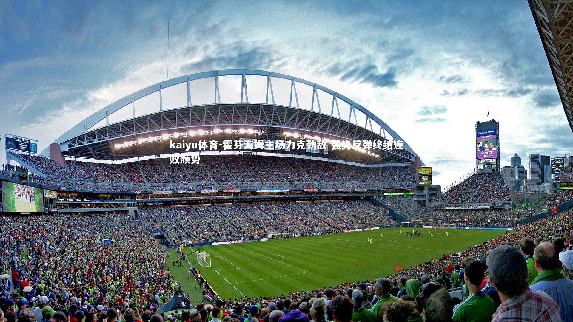 霍芬海姆主场力克劲敌 强势反弹终结连败颓势